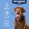 Show in main carousel: PetArmor Plus Flea & Tick Spot Treatment for Dogs, 45-88 lbs, 6 Doses (6-mos. supply) slide 6 of 11