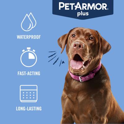 Show full view: PetArmor Plus Flea & Tick Spot Treatment for Dogs, 45-88 lbs, 6 Doses (6-mos. supply) slide 6 of 11