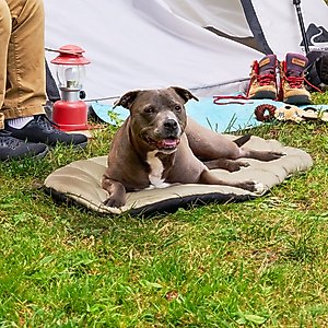 FurHaven Trail Pup Packable Dog Bed, Large, Black & Tan