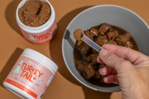 Show full view: Fifth & Fido Turkey Tail+ Mushroom Bacon Flavored Dog & Cat Powdered Supplement, 2.97-oz jar slide 7 of 9