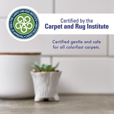 Show full view: Rocco & Roxie Supply Co. Professional Strength Pet Stain & Odor Eliminator, 32-fl oz spray slide 6 of 11