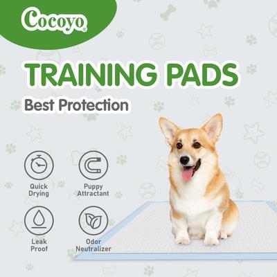 Show full view: COCOYO Best Value Dog Training Pads, 26 x 30-in, 75 Count slide 5 of 7