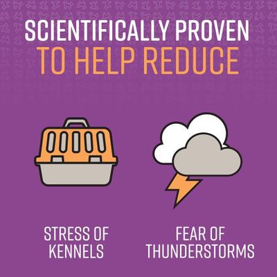 Show full view: Sentry Good Behavior Chicken Flavored Soft Chew Calming Supplement for Dog, 60 count slide 4 of 10