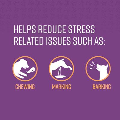 Show full view: Sentry Behavior Portable Calming Diffuser Refill for Dogs, 2 count slide 6 of 8