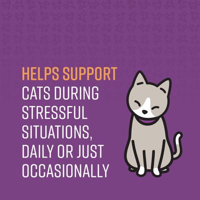 Show full view: Sentry Calming Chews Supplement for Cats, 4-oz bag slide 4 of 8