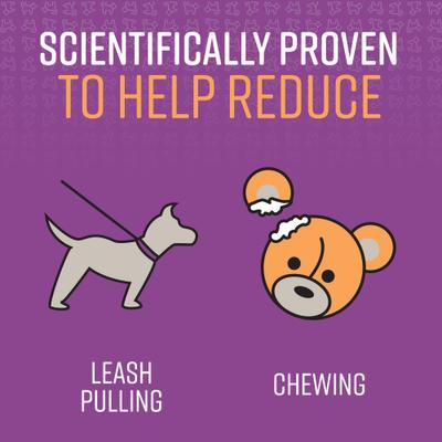 Show full view: Sentry Stop That! Noise & Pheromone Dog Spray, 1-fl oz slide 5 of 9