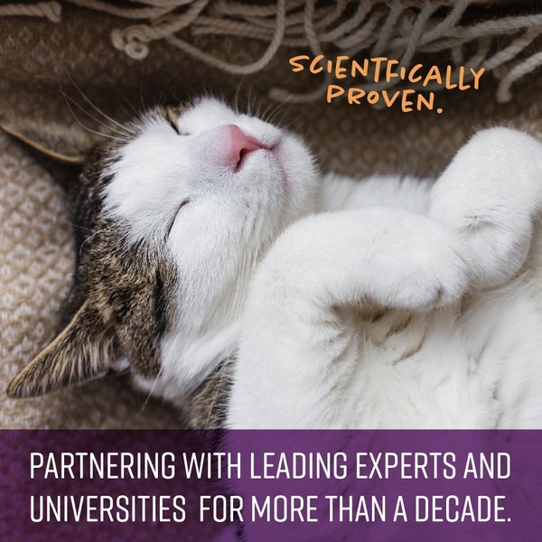 Show full view: Sentry Calming Chews Supplement for Cats, 4-oz bag slide 5 of 7