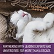 Show in main carousel: Sentry Calming Chews Supplement for Cats, 4-oz bag slide 5 of 7