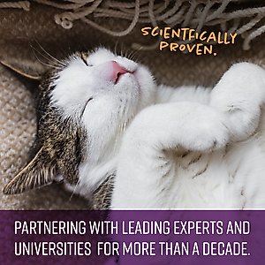 Sentry Calming Chews Supplement for Cats, 4-oz bag