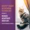 Show in main carousel: Sentry Behavior Portable Calming Diffuser Refill for Cats, 2 count slide 5 of 8