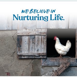 Manna Pro Fresh Flakes Chicken Bedding