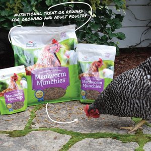 Manna Pro Mealworm Munchies Chicken Treats, 30-oz bag