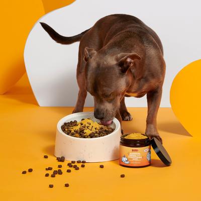 Show full view: BARK Pumpkin Spice Digestive Broth Powder Dog Food Topper, 6.1-oz jar slide 6 of 10