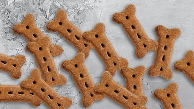 biscuits, cookies and crunchy dog treats