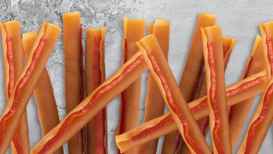 Long-Lasting Dog Chew Treats