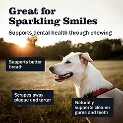Redbarn Premium 7" Braided Bully Sticks Dog Treats, 3 count slide 2 of 7