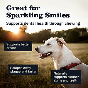 Redbarn Bully Slices Dog Treats, 9-oz bag