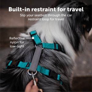 PetSafe 3-in-1 Reflective Dog Harness with Car Control Strap, Black, Medium: 24 to 34-in chest