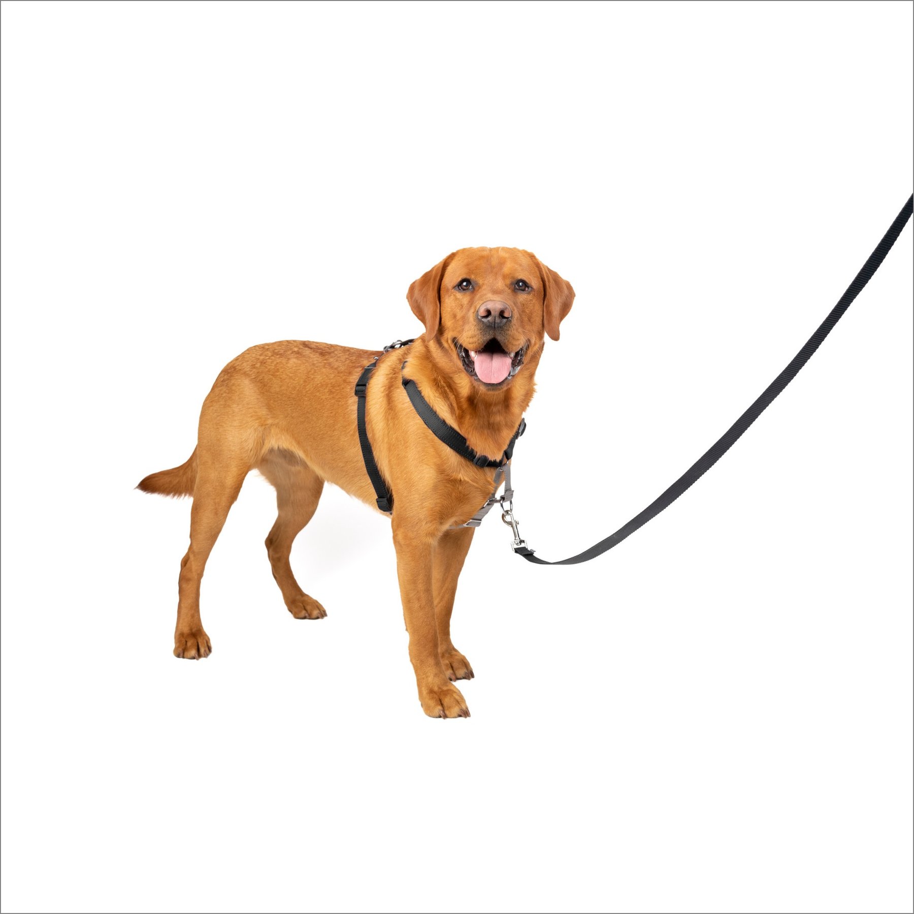 PetSafe 3-in-1 Reflective Dog Harness with Car Control Strap, Black, Large: 29.5 to 42.5-in chest