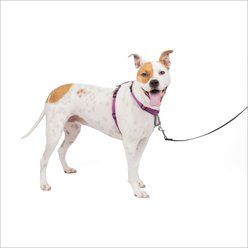 PetSafe 3-in-1 Reflective Dog Harness with Car Control Strap, Plum, Medium: 24 to 34-in chest
