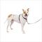 Show in main carousel: PetSafe 3-in-1 Reflective Dog Harness with Car Control Strap, Black, Medium: 24 to 34-in chest slide 1 of 10