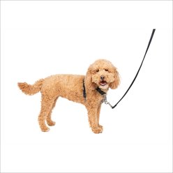 PetSafe 3-in-1 Reflective Dog Harness with Car Control Strap, Black, Small: 19 to 24-in chest