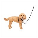 PetSafe 3-in-1 Reflective Dog Harness with Car Control Strap, Black, Small: 19 to 24-in chest