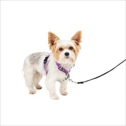 PetSafe 3-in-1 Reflective Dog Harness with Car Control Strap, Plum, X-Small: 13 to 19-in chest