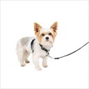 PetSafe 3-in-1 Reflective Dog Harness with Car Control Strap, Black, X-Small: 13 to 19-in chest