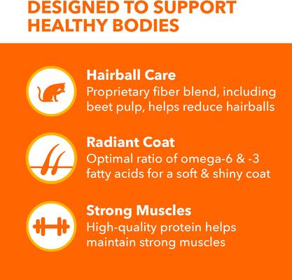 Show full view: Iams Proactive Health Long Hair Care with Real Chicken & Salmon Adult Dry Cat Food, 6-lb bag slide 4 of 10