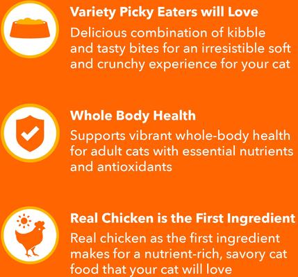 Show full view: Iams Proactive Health Healthy Enjoyment Immune Support Chicken & Beef Adult Dry Cat Food, 15-lb bag slide 4 of 10