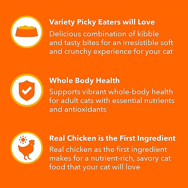 Iams Proactive Health Healthy Enjoyment Immune Support Chicken & Beef Adult Dry Cat Food