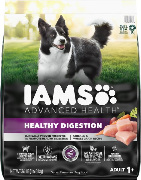 Iams dog fashion food green bag