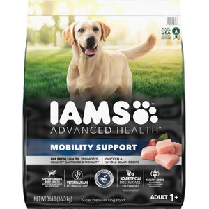 Iams labrador retriever food hotsell