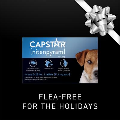 Show full view: Capstar Flea Oral Treatment for Dogs, 2-25 lbs, 12 Tablets slide 2 of 14