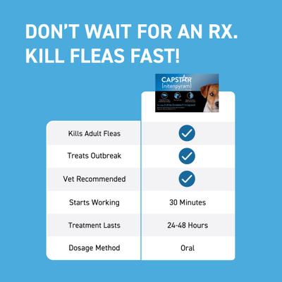 Show full view: Capstar Flea Oral Treatment for Dogs, 2-25 lbs, 6 Tablets + PetArmor 7 Way Dewormer for Hookworms, Roundworms & Tapeworms, 2 count slide 4 of 10