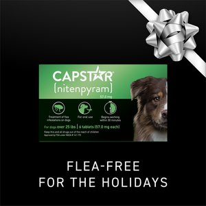 Capstar Flea Oral Treatment for Dogs, over 25 lbs, 6 Tablets