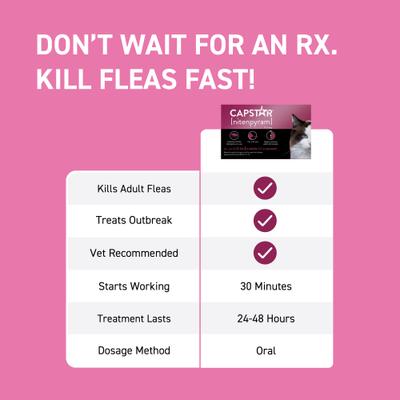 Show full view: Capstar Flea Oral Treatment for Cats, 2-25 lbs, 6 Tablets + PetArmor Home Yard & Premise Flea & Tick Spray Treatment, 32-oz bottle slide 4 of 9