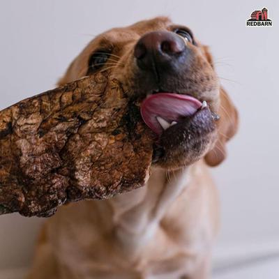 Show full view: Redbarn Choppers Dog Treats, 9-oz bag slide 5 of 11