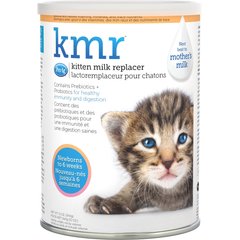 Everything You Need to Know About Bottle Feeding a Kitten PetMD