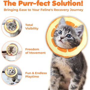 SunGrow Post-Surgery Soft Cone Dog & Cat Recovery Collar, Orange, Medium