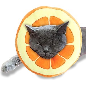 SunGrow Post-Surgery Soft Cone Dog & Cat Recovery Collar, Orange, Medium