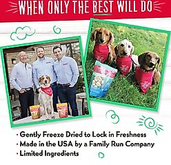 Charlee Bear Meaty Bites Chicken & Blueberries Grain-Free Freeze-Dried Dog Treats, 2.25-oz bag slide 2 of 8