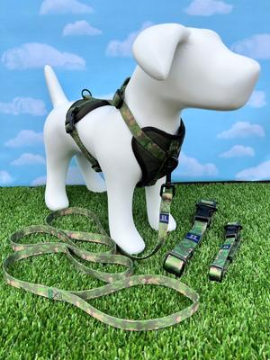 Show full view: Hamilton Go Boldy Camouflage Adjustable Polyester Standard Dog Leash, Blue, Medium/Large: 6-ft long, 1-in wide slide 4 of 7