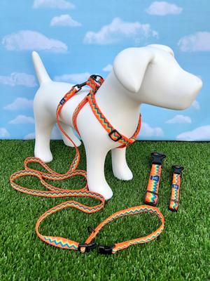 Show full view: Hamilton Nylon Weave Adjustable Multi-Function Standard Dog Leash, Green, Medium/Large: 4 to 6-ft long, 1-in wide slide 5 of 7