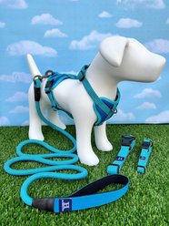 Hamilton A Day Together Luxury Paracord Rope Nylon with Padded Neoprene Handle Dog Leash, Lime, Medium/Large: 5-ft long, 1-in wide slide 2 of 6