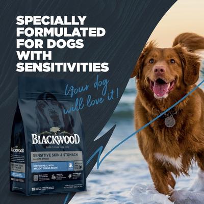 Show full view: Blackwood Sensitive Skin & Stomach Adult Catfish Meal with Ancient Grains Recipe Dry Dog Food, 48-lb bundle slide 8 of 11
