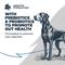 Show in main carousel: Blackwood Sensitive Skin & Stomach Adult Catfish Meal with Ancient Grains Recipe Dry Dog Food, 48-lb bundle slide 5 of 11