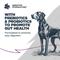 Show in main carousel: Blackwood Sensitive Skin & Stomach Adult Salmon Meal & Brown Rice with Ancient Grains Dry Dog Food, 48-lb bundle slide 5 of 11