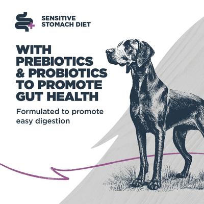 Show full view: Blackwood Sensitive Skin & Stomach Adult Salmon Meal & Brown Rice with Ancient Grains Dry Dog Food, 48-lb bundle slide 5 of 11